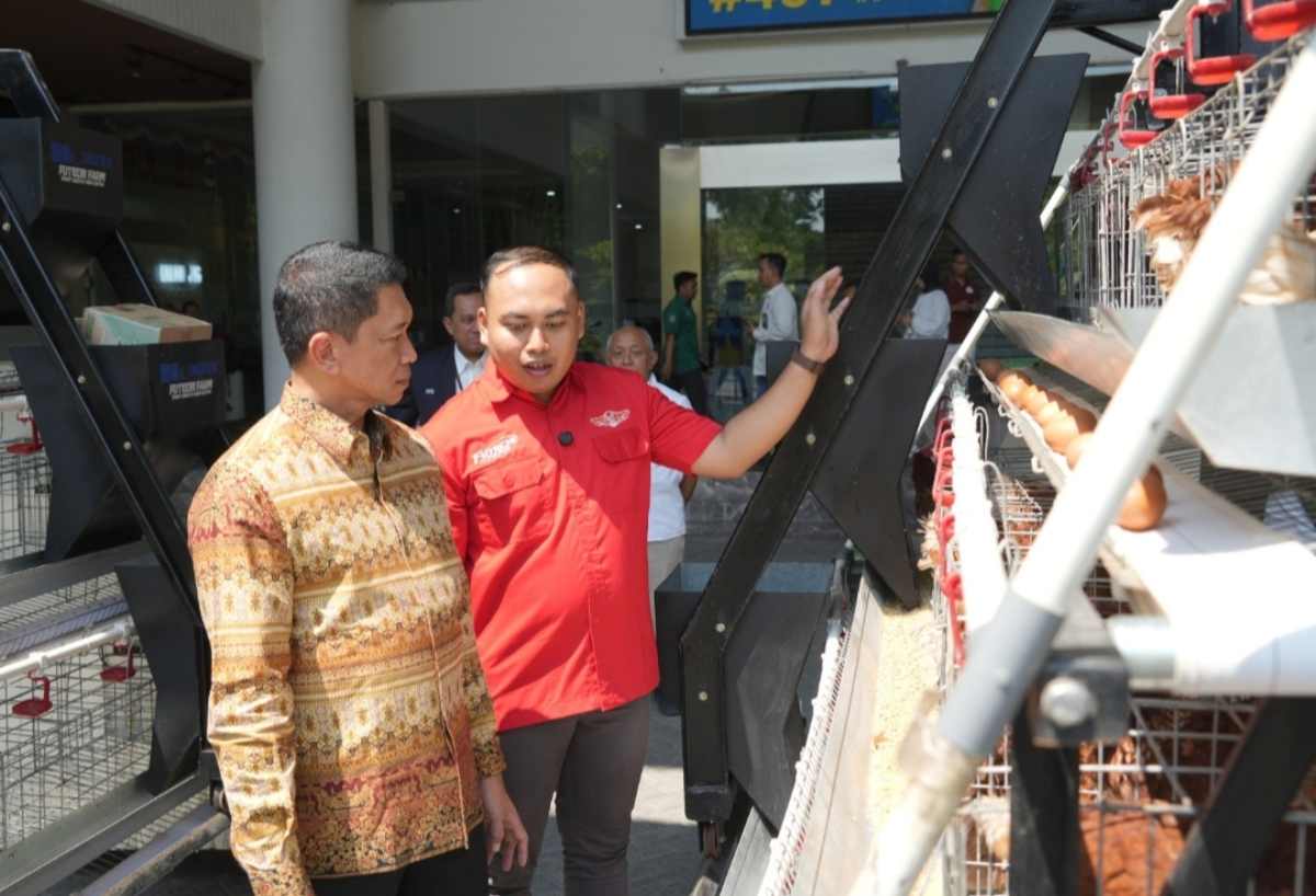Futechi Farm, Otomasi Peternakan Ayam Petelur ala ITS